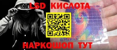 крисы Кулебаки