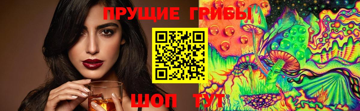 Псилоцибиновые грибы MAGIC MUSHROOMS Чернушка